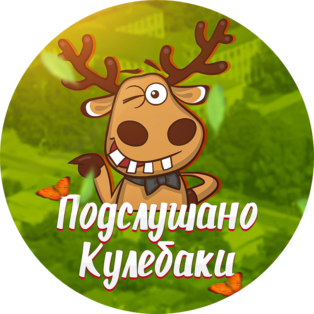 Паблик ВКонтакте Подслушано Кулебаки 2.0, г.Кулебаки
