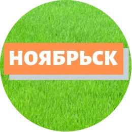 Паблик ВКонтакте Новости Объявления Ноябрьск