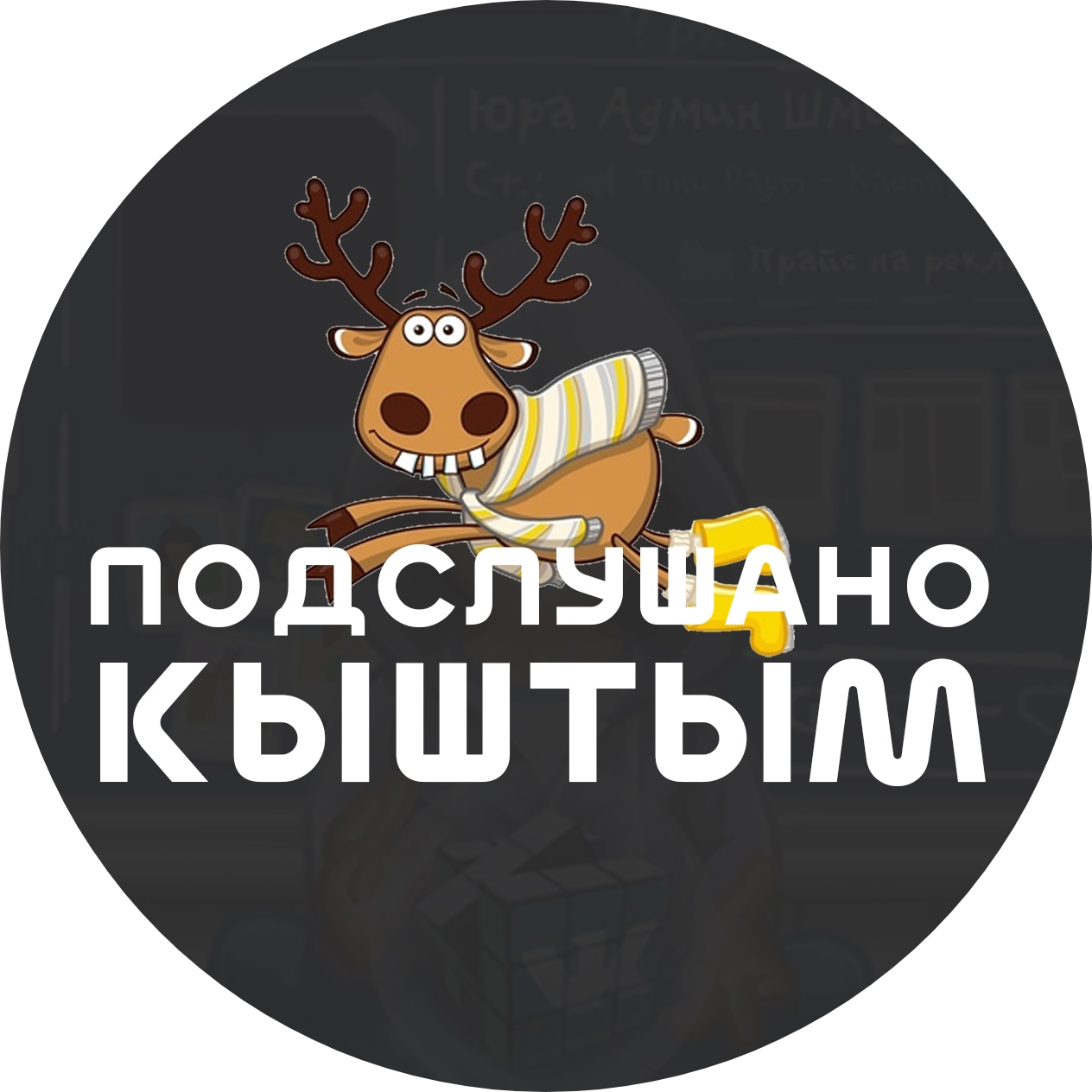 Раземщение рекламы Паблик ВКонтакте Подслушано Кыштым, г.Кыштым
