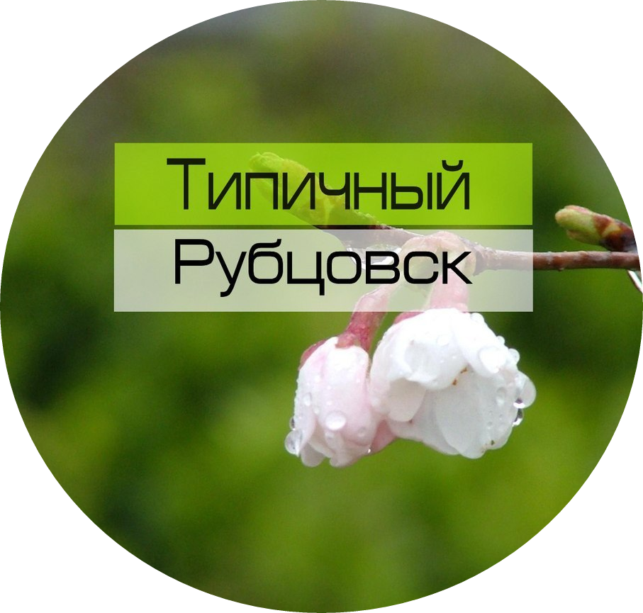 Паблик ВКонтакте Типичный Рубцовск, г. Рубцовск