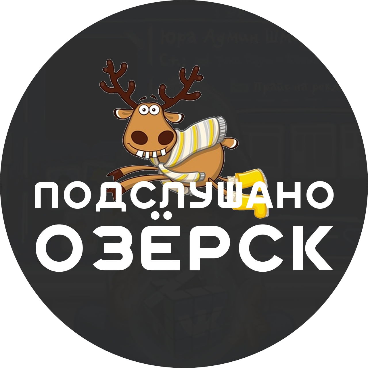 Паблик ВКонтакте Подслушано Озёрск, г.Озёрск Челябинская область