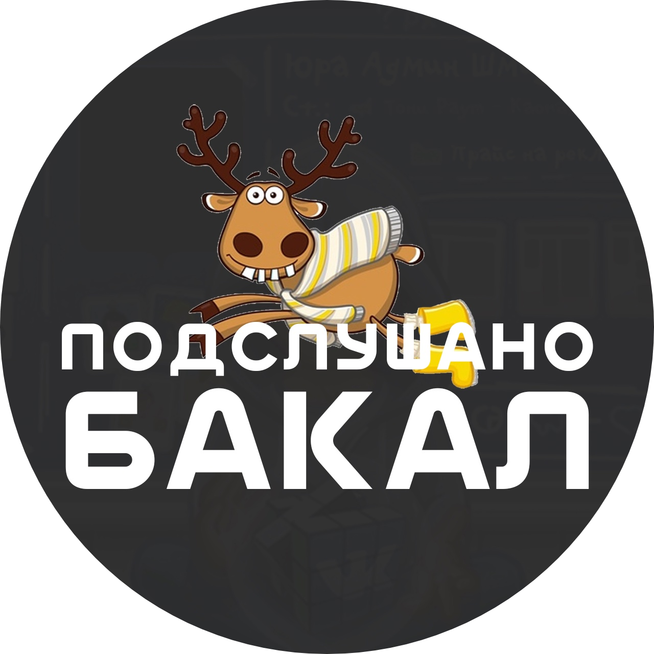 Паблик ВКонтакте Подслушано Бакал, г.Бакал